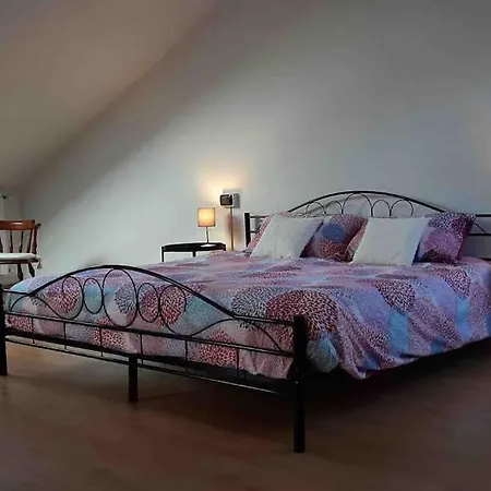 Silvia E Faby Maggiore Daire *