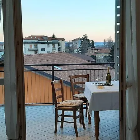 Silvia E Faby Maggiore *